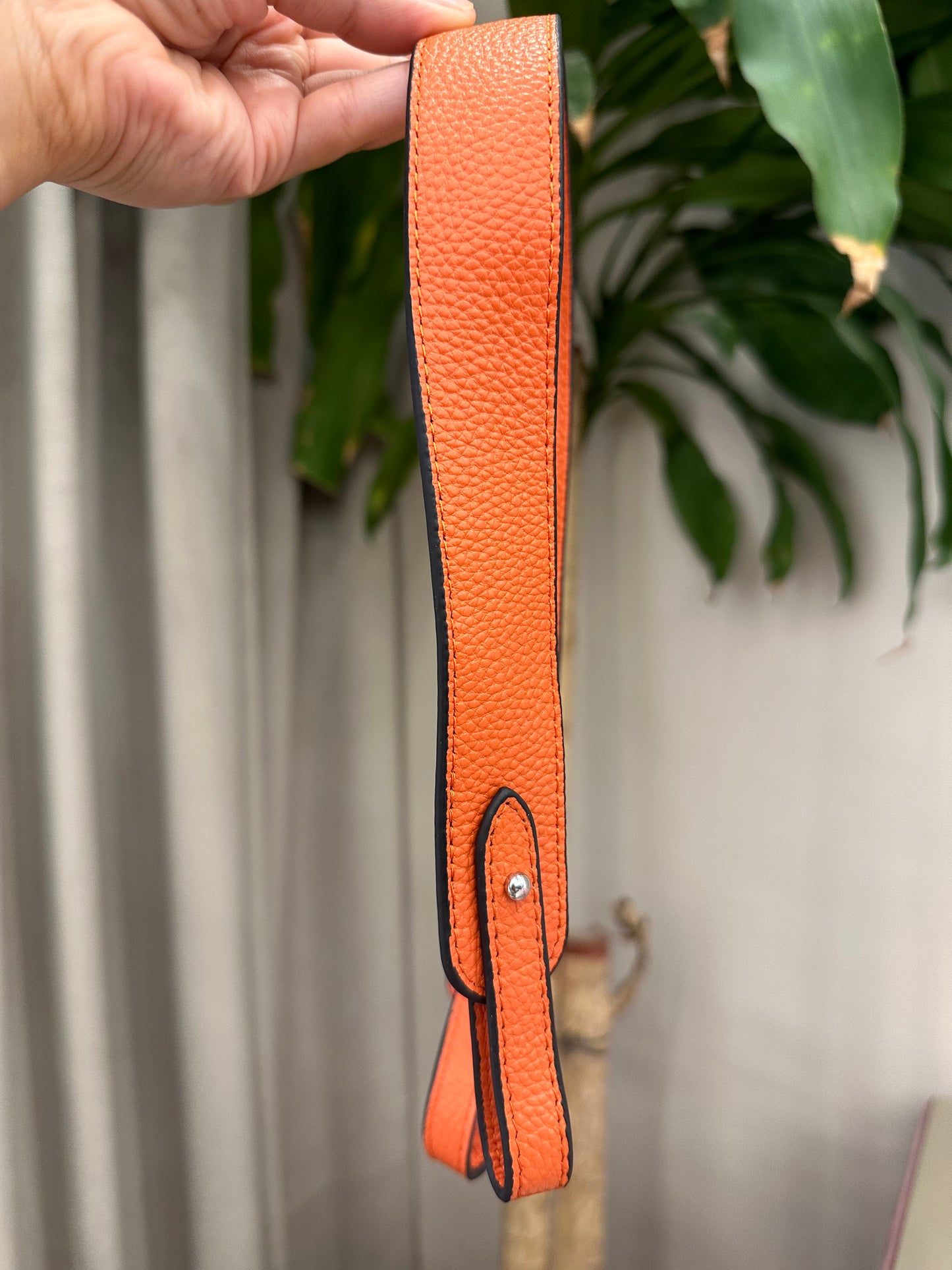 Bag Strap