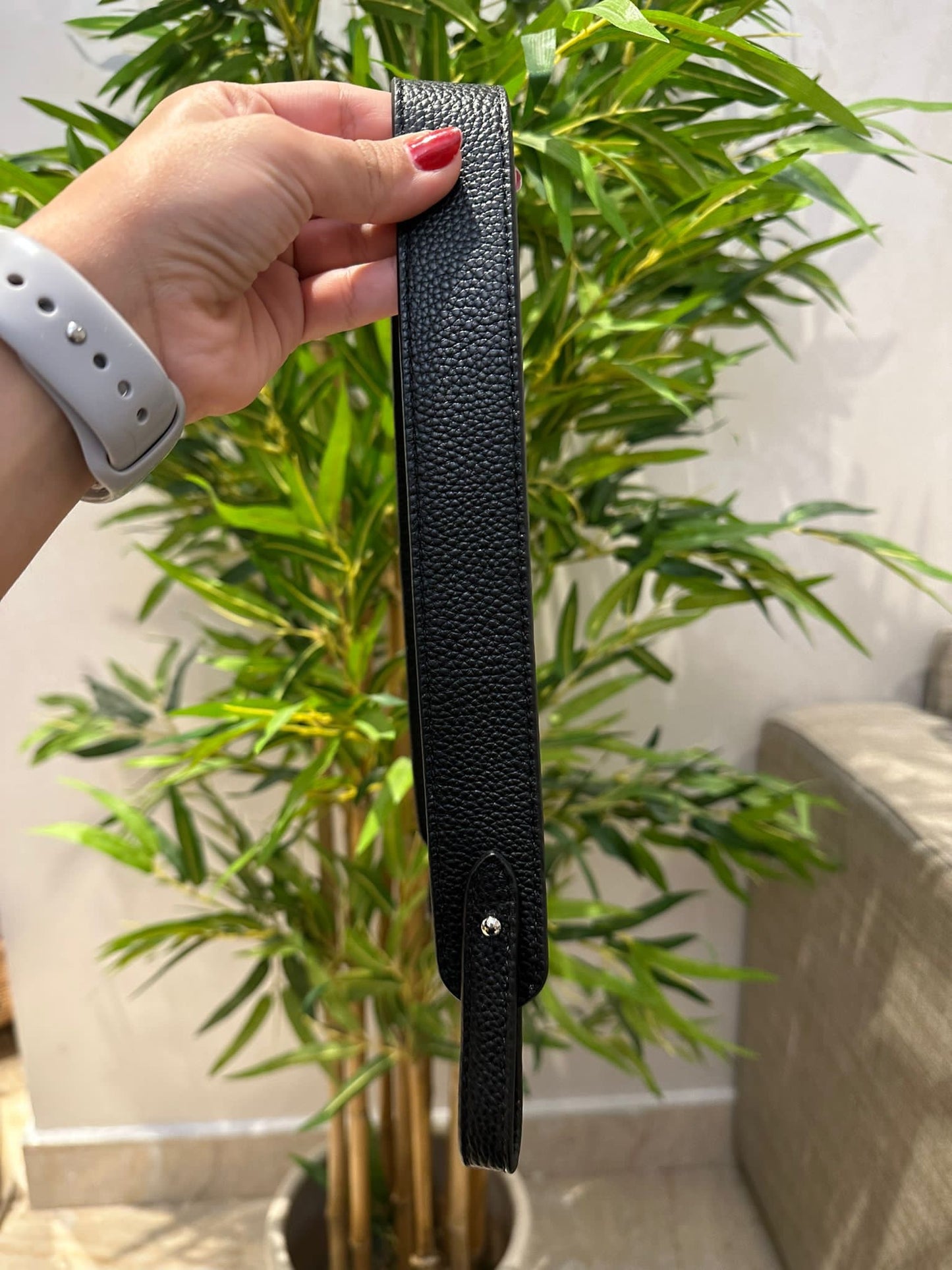 Bag Strap